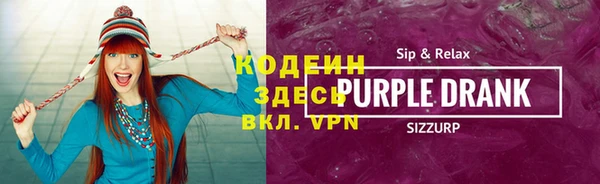 индика Елизово