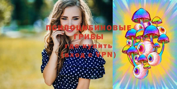 герыч Алзамай