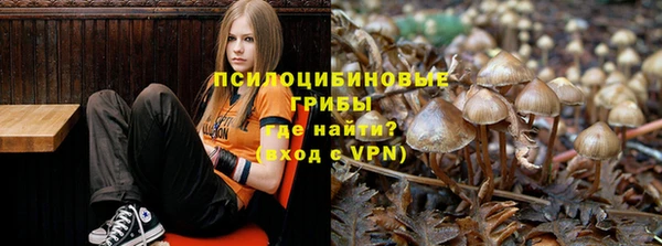 герыч Алзамай